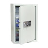 Siva RAL7035